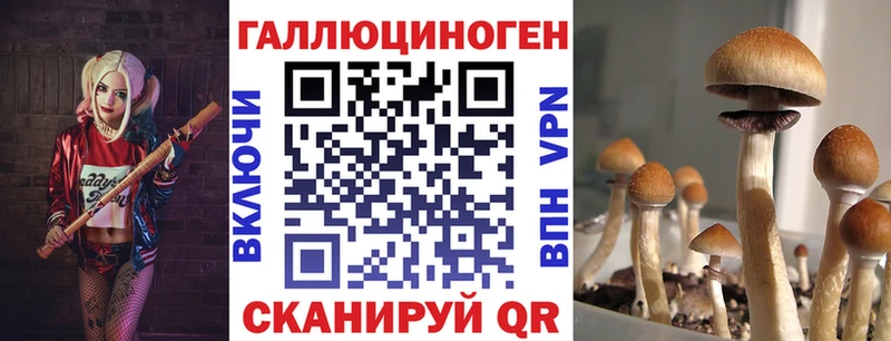 blacksprut зеркало  Дно  Псилоцибиновые грибы MAGIC MUSHROOMS 